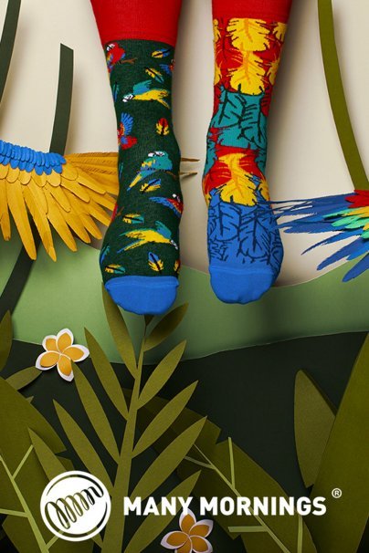 Paradise Parrot COLOURFUL SOCKS – MANY MORNINGS-1