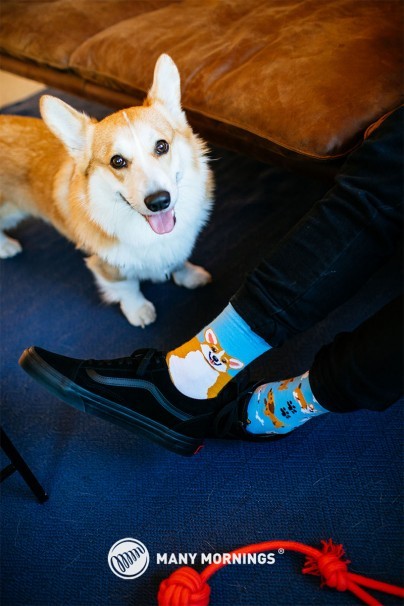 Playful Dog COLOURFUL SOCKS – MANY MORNINGS-2