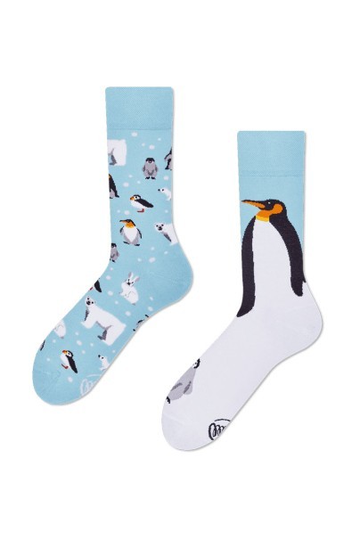 Frosty Friends COLOURFUL SOCKS – MANY MORNINGS-1