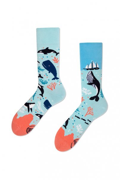 Ocean Life COLOURFUL SOCKS – MANY MORNINGS-1