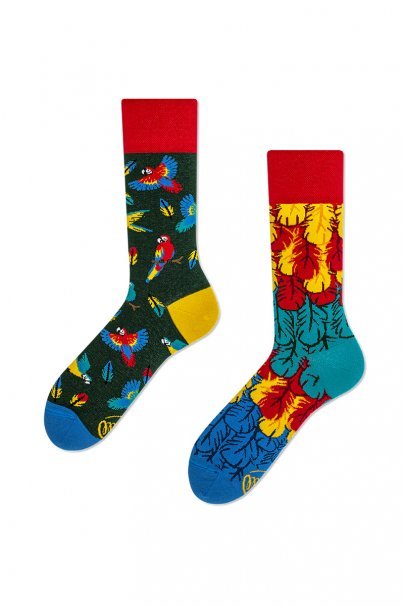 Paradise Parrot COLOURFUL SOCKS – MANY MORNINGS-1