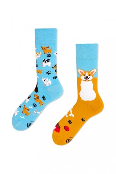 Playful Dog COLOURFUL SOCKS – MANY MORNINGS-1