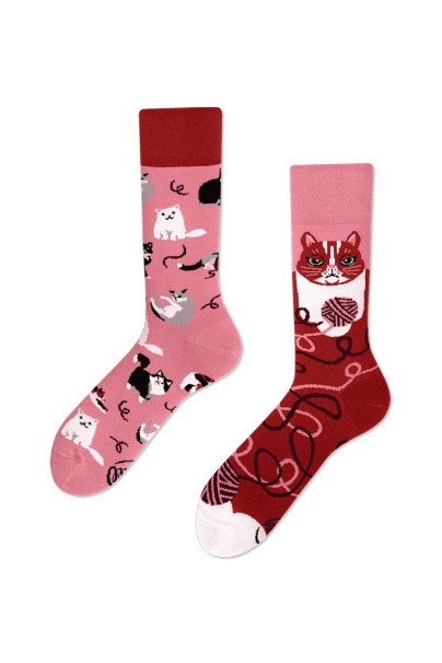 Playful Cat COLOURFUL SOCKS – MANY MORNINGS-1